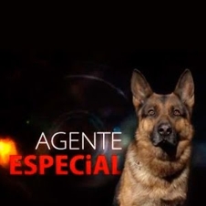 AGENTE ESPECIAL